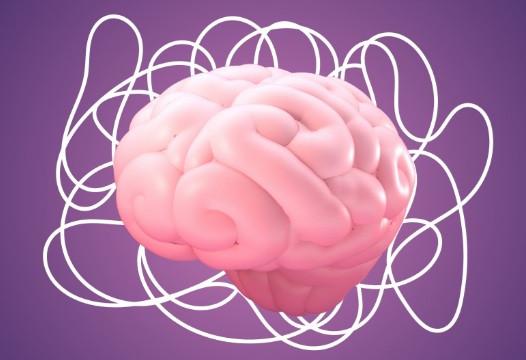 En este momento estás viendo Temas 1,2 y 3 de Conducta Humana (2025)
